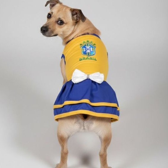 Vestido Pet Brasil Roupinha Da Copa 2026 Para Cachorro Roupinha Do Brasil Para Cachorro
