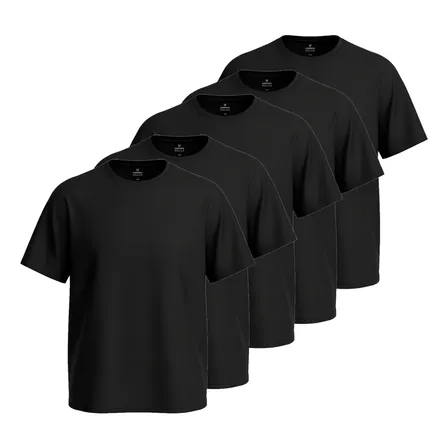 Kit 5 Camisetas Hering Basica Masculina Algodão Original